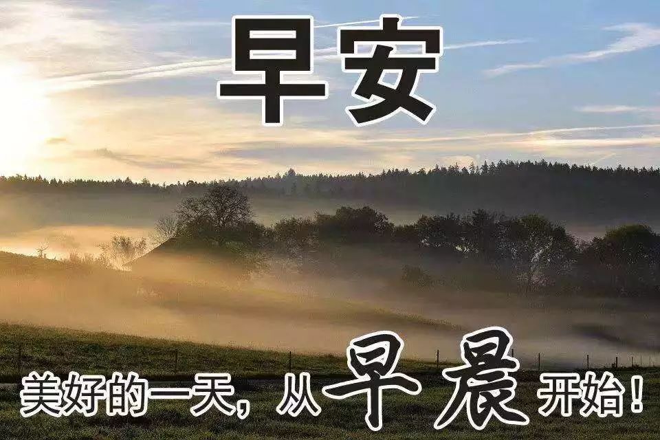 支付寶撒幣15億引發(fā)全民“薅羊毛”，民間文案真是哈哈哈哈哈